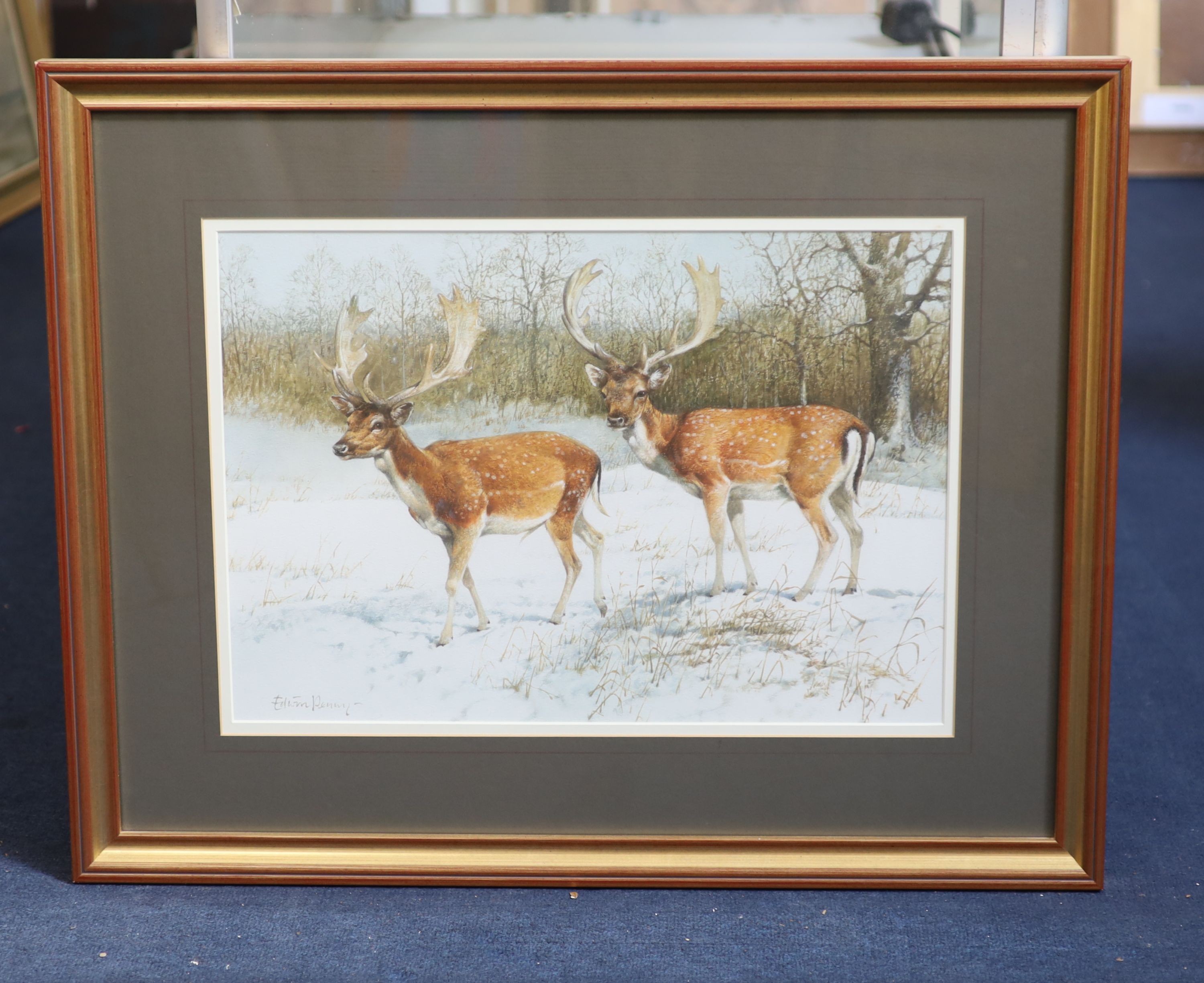 Edwin Penny (1930-2016), Fallow bucks, Watercolour, 35 x 51cm.